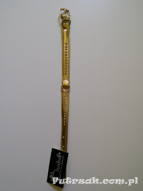 Obroża skórzana dla york'a/33cm/złota Obroża skórzana dla york'a/33cm/złota