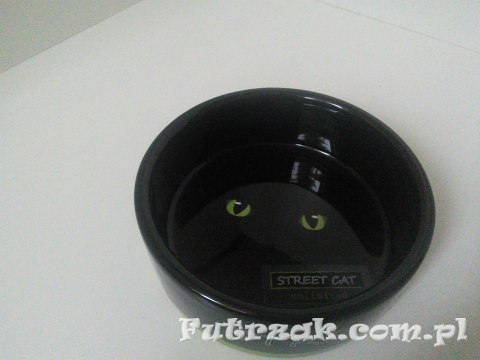 Miska ceramiczna "STREET CAT"/zielona-TX 24659 Miska ceramiczna "STREET CAT"/zielona-TX 24659