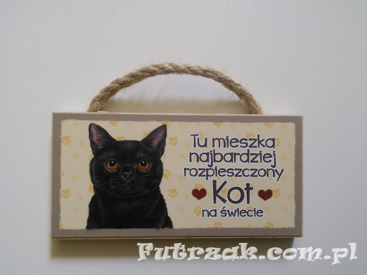 Tabliczka z magnesem-Kot Czarny