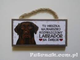 Tabliczka z magnesem-Labrador