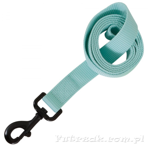 Smycz Max Glow/blue/small Smycz Max Glow/blue/small