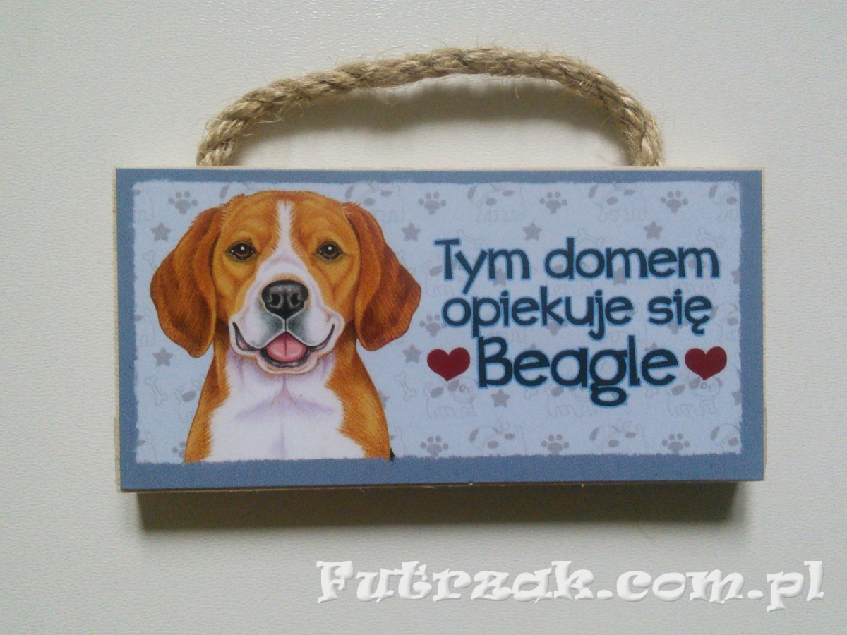 Tabliczka z magnesem-Beagle Tabliczka z magnesem-Beagle