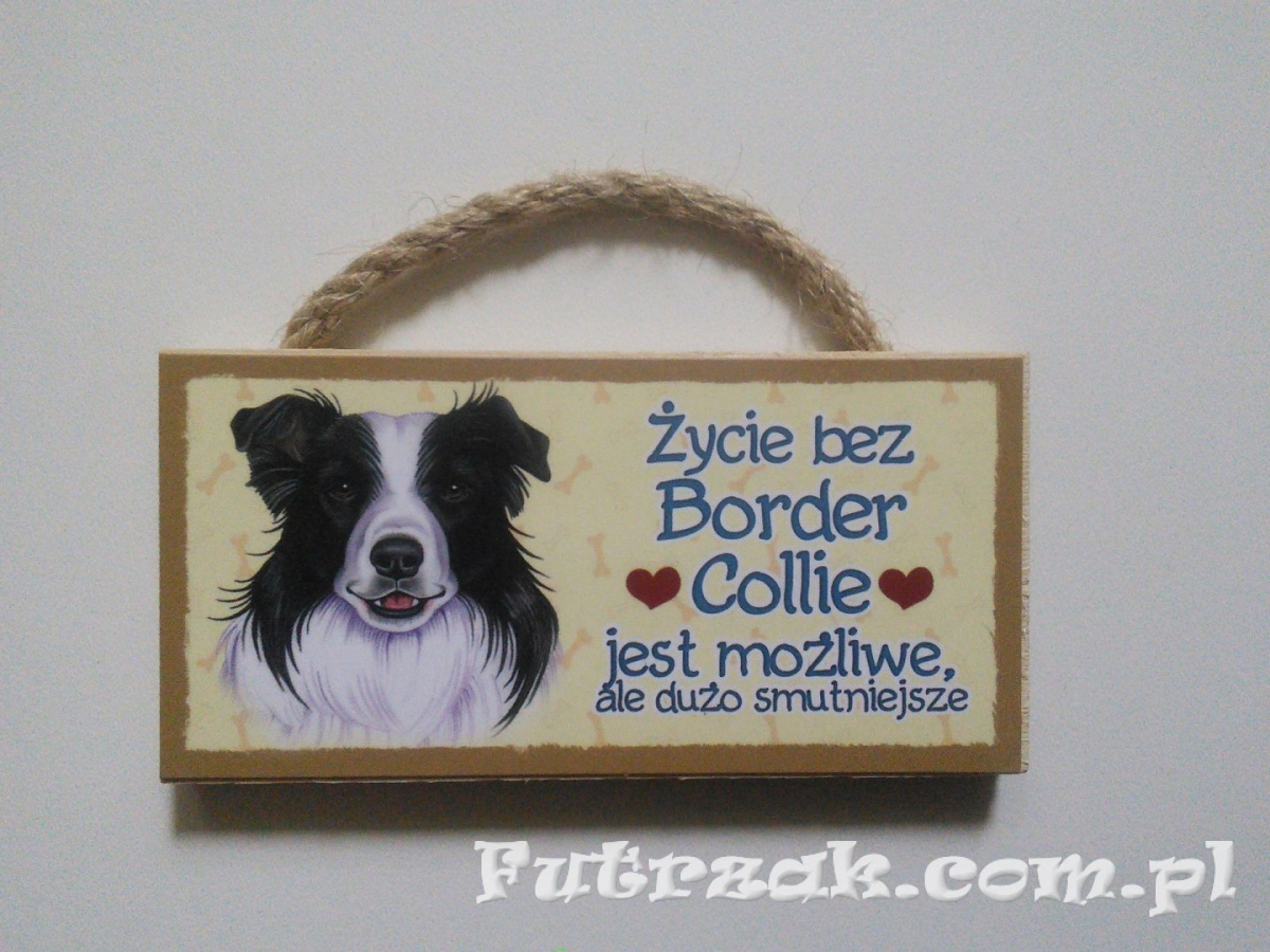 Tabliczka z magnesem-Border Collie Tabliczka z magnesem-Border Collie