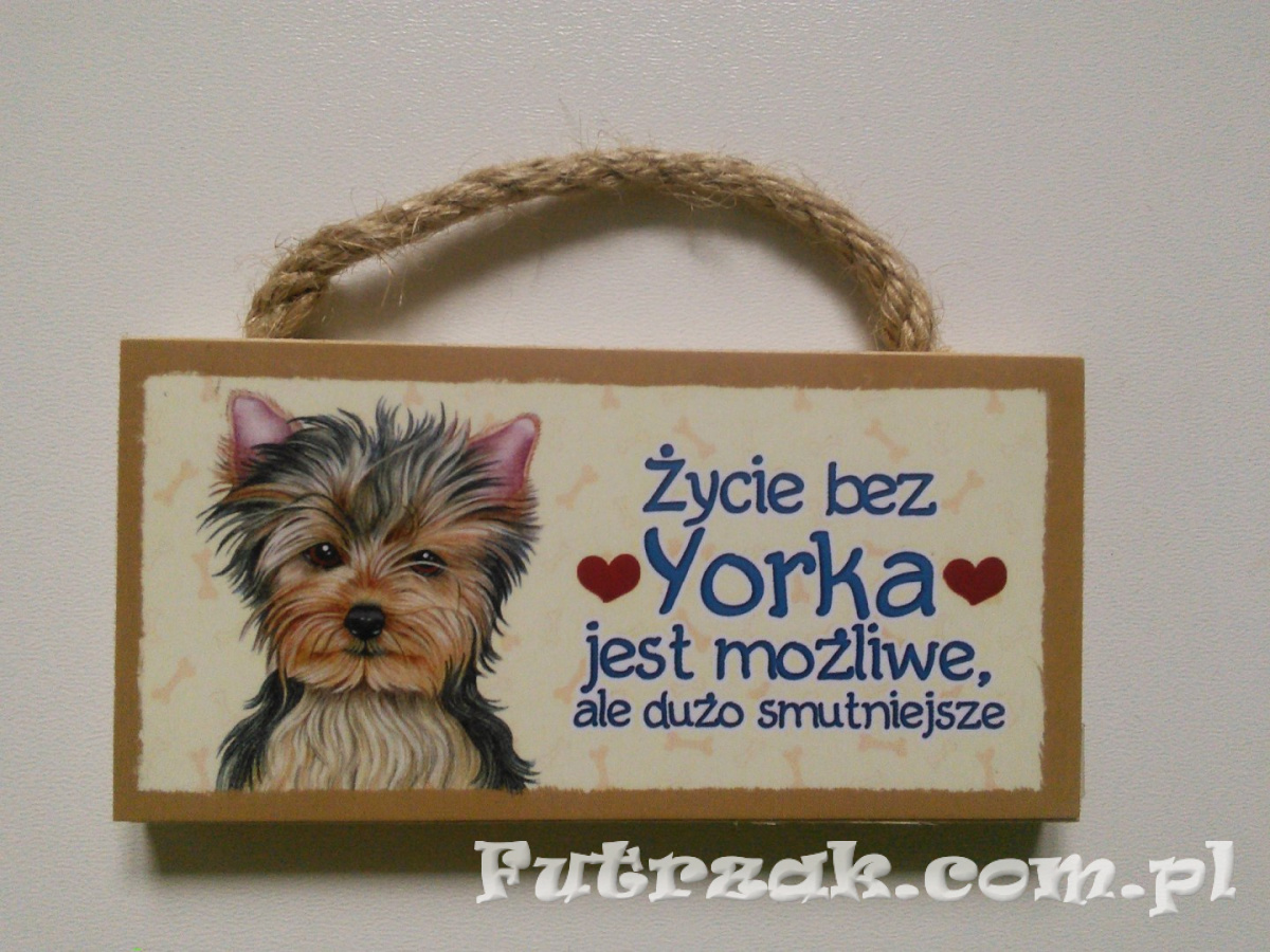Tabliczka z magnesem-York Tabliczka z magnesem-York