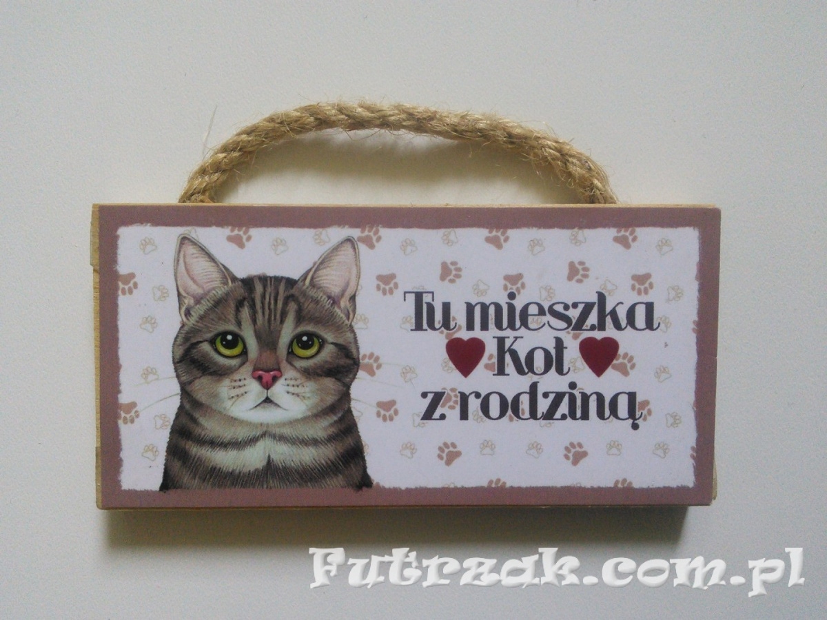 Tabliczka z magnesem-Kot Szary Tabliczka z magnesem-Kot Szary