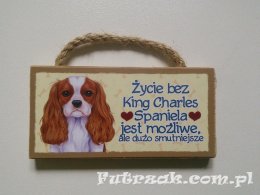 Tabliczka z magnesem-King Charles Spaniel