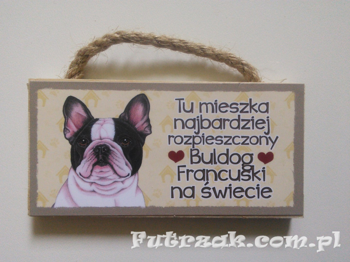 Tabliczka z magnesem-Buldog Francuski Tabliczka z magnesem-Buldog Francuski