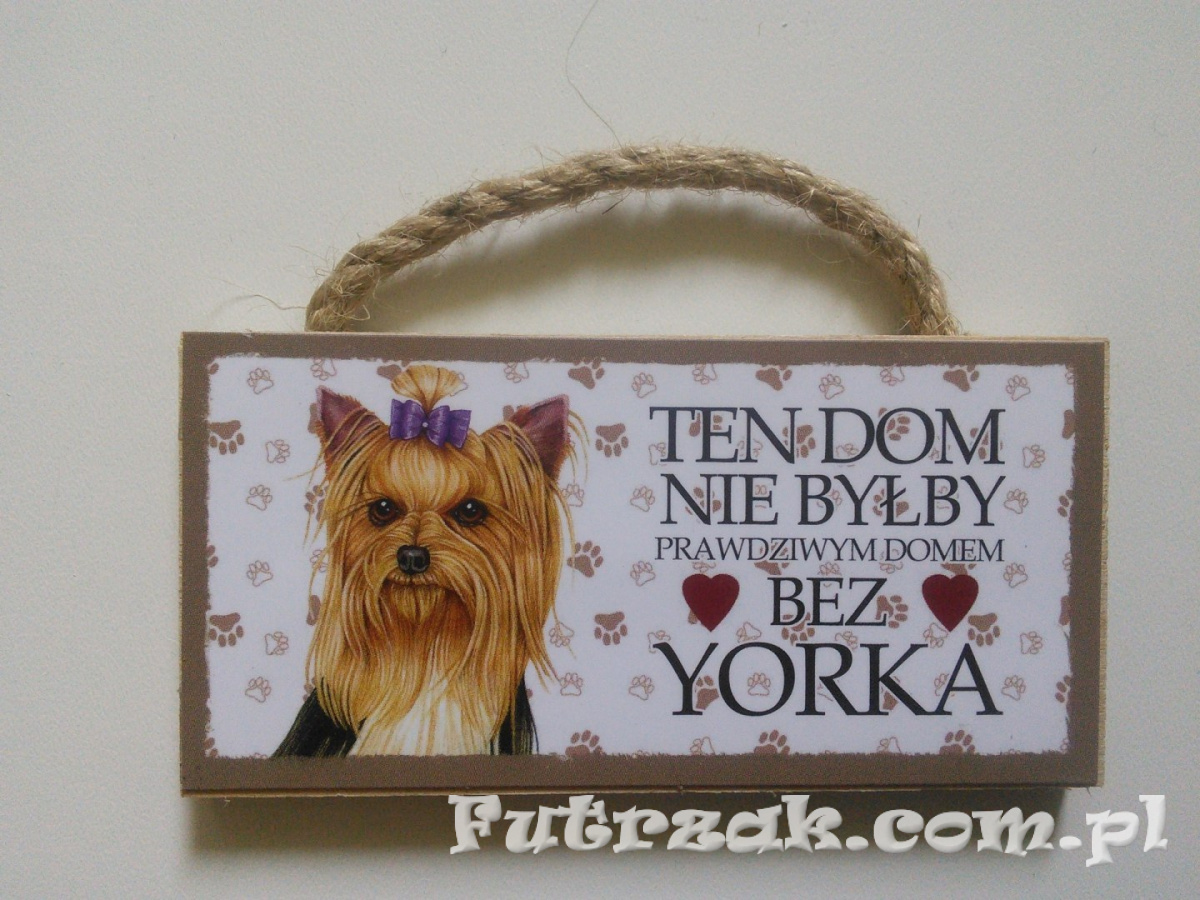 Tabliczka z magnesem-York Tabliczka z magnesem-York