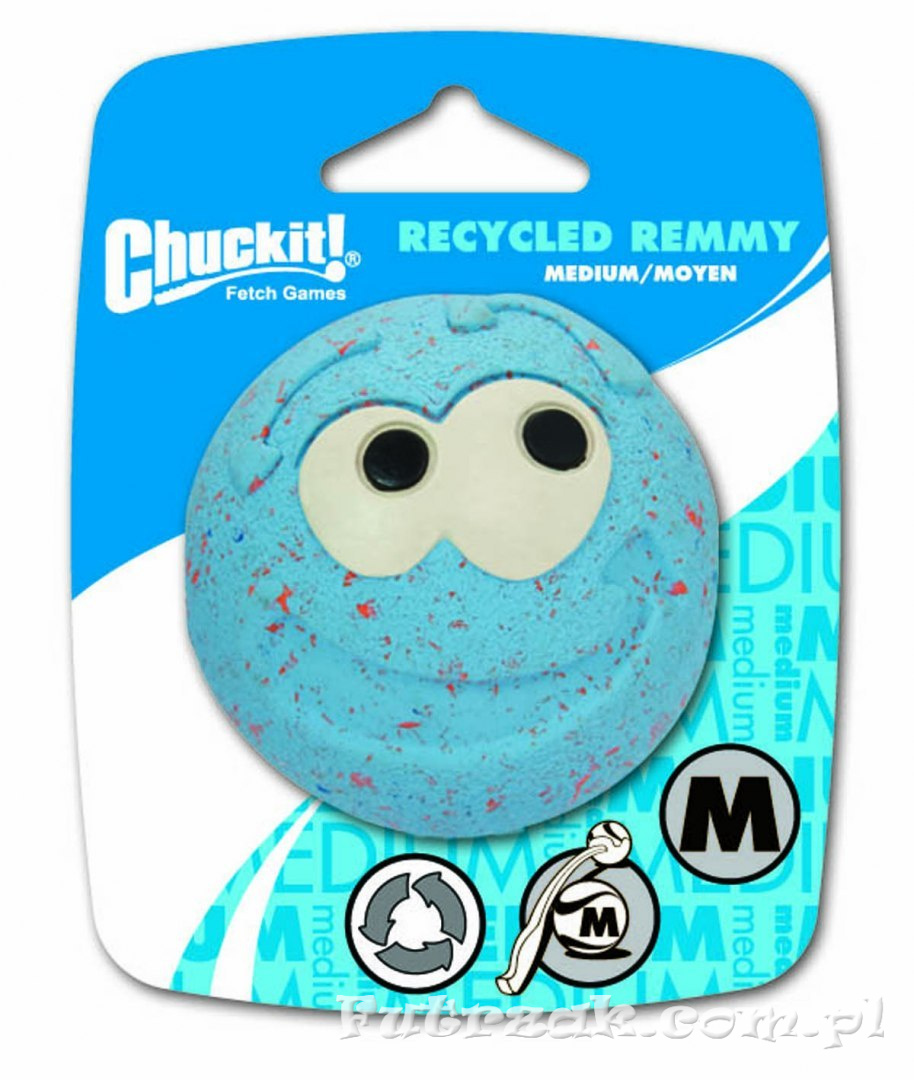 Recycled Remmy
