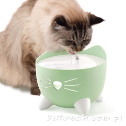 Catit Pixi Fountain Combo fontanna zielona dla kota+miska+filtry