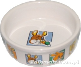 Miska ceramiczna dla królika-Y2706