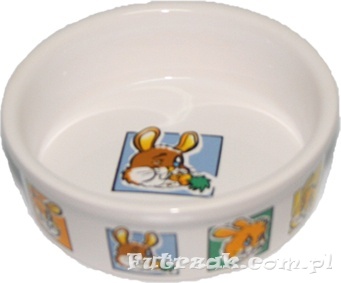 Miska ceramiczna dla królika-Y2706