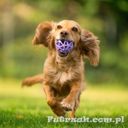 Spiderweb Ball small